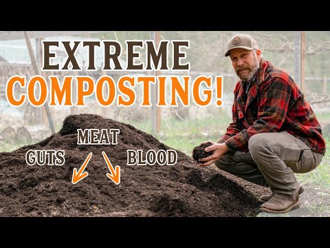 MEAT in Your COMPOST!? | Learn to compost anything!!