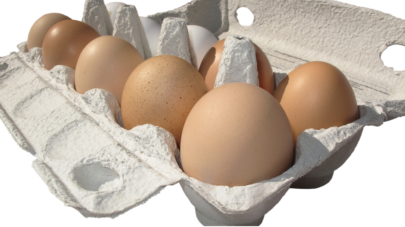 Can You Compost Egg Cartons? Eggciting News Is Yes, But Which Kinds